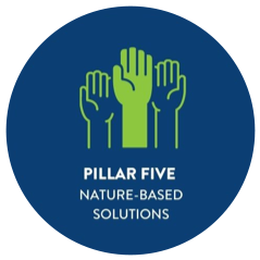 5. AREA OF IMPACT FIVE: NATURE-BASED SOLUTIONS