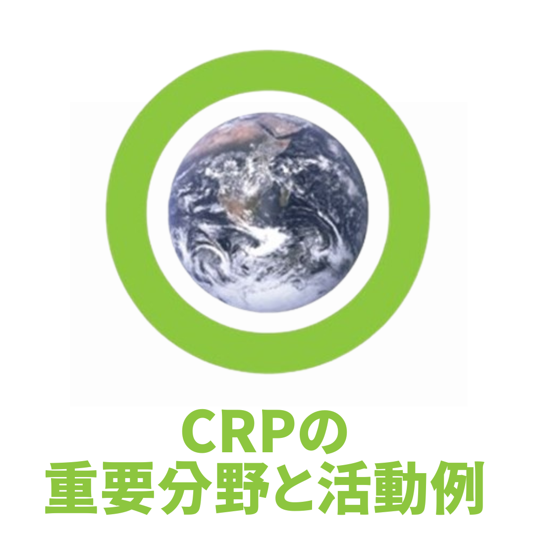 CRP重要分野と活動例