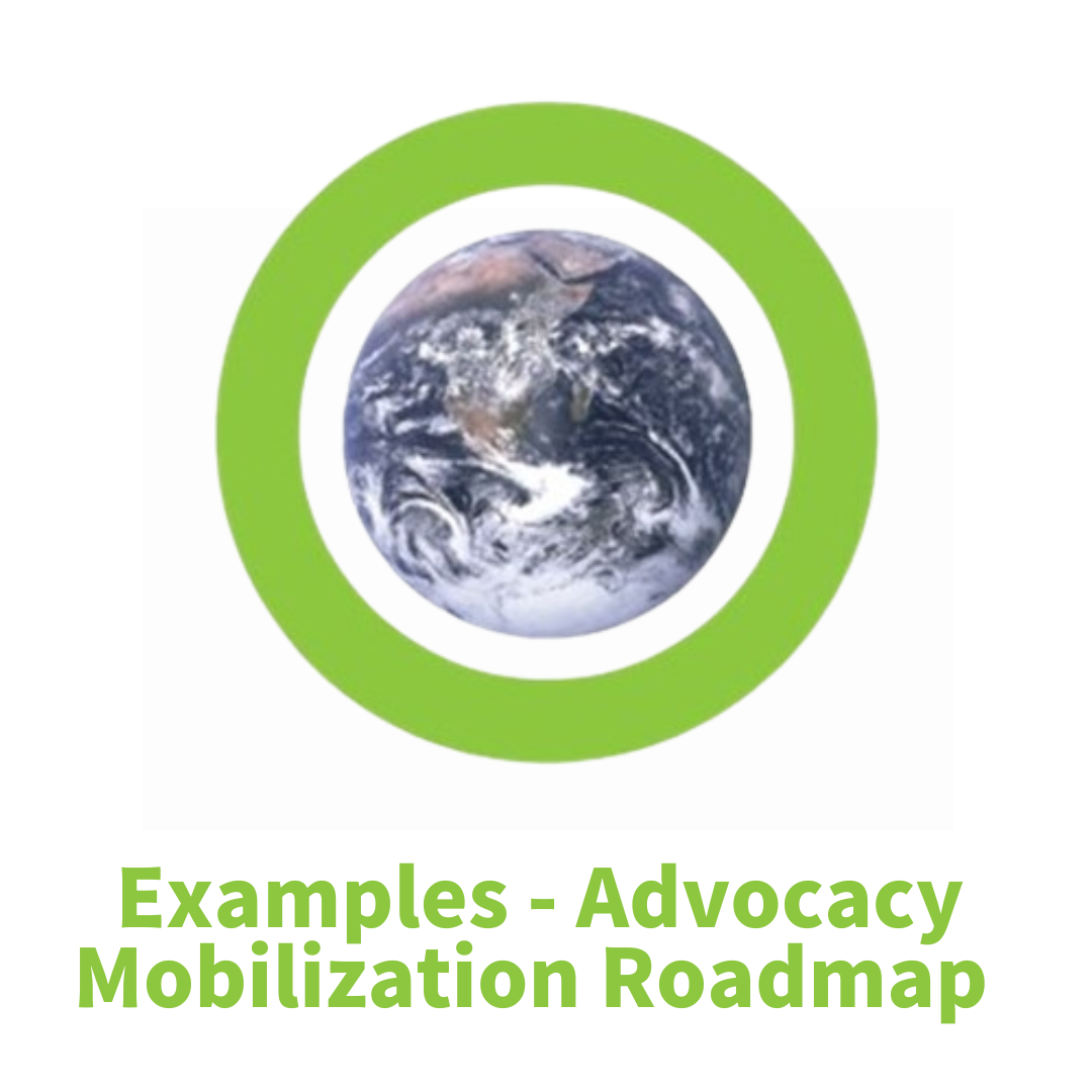Examples – Advocacy Mobilization Roadmap