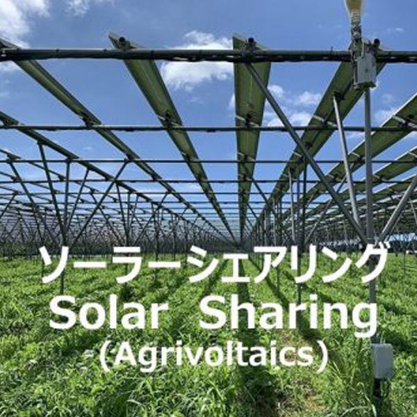 【2023/5/17】ソーラーシェアリングってなに？～日本の諸問題解決の切り札～