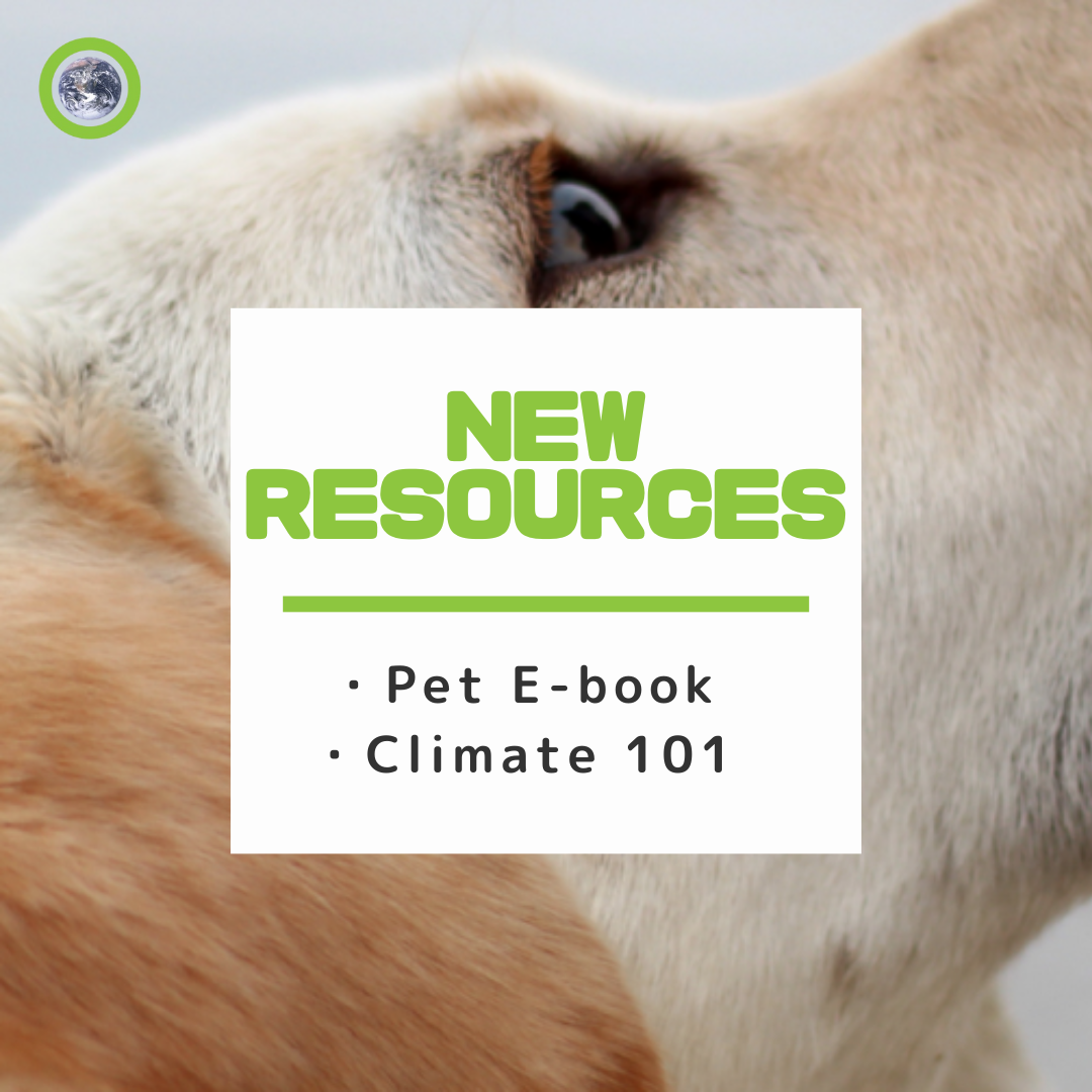 New Resources! for free download