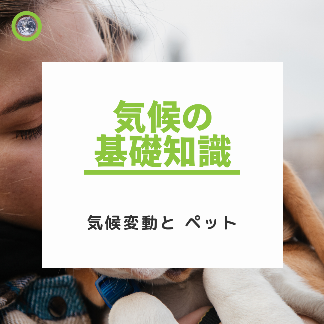 気候変動とペット