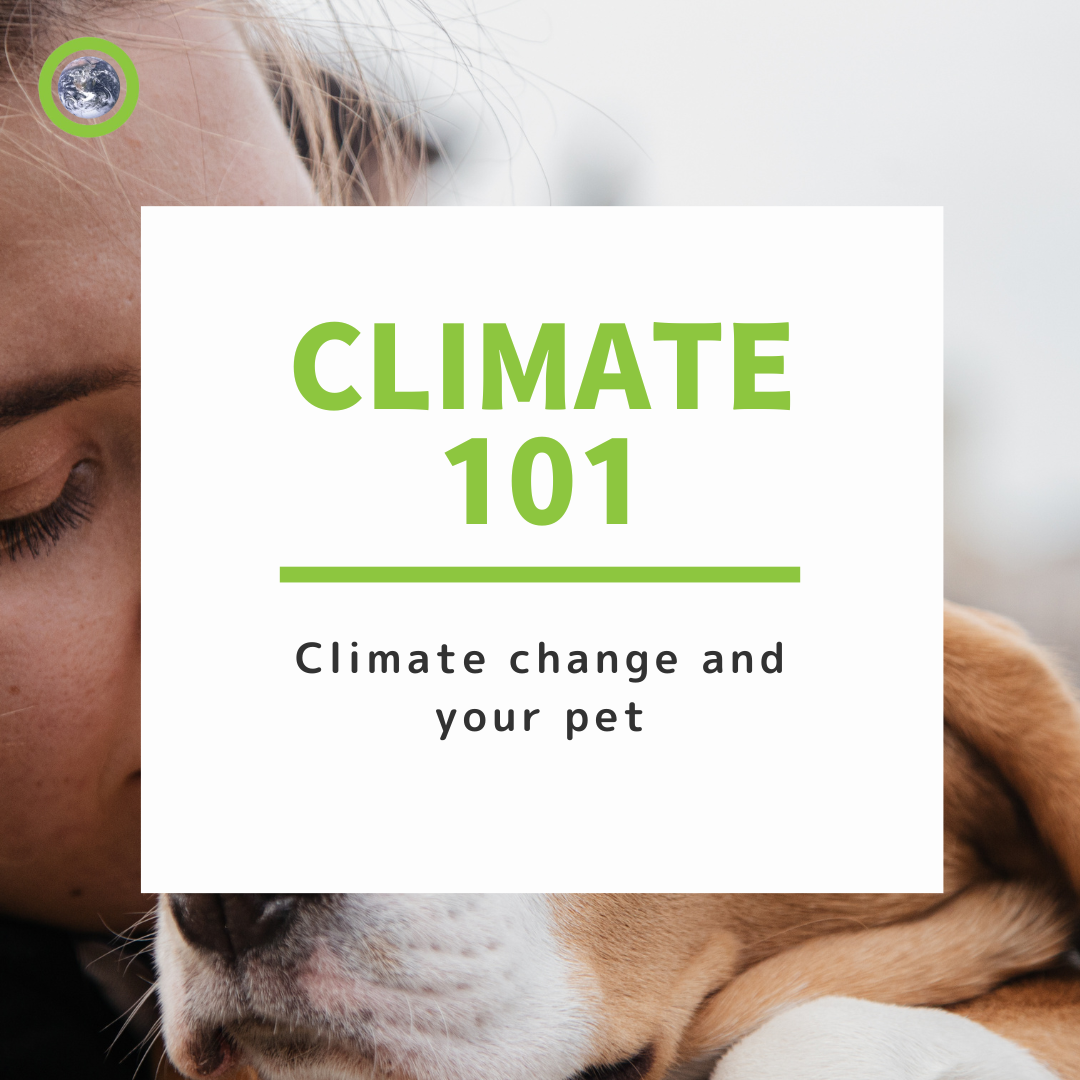 Climate change and your pet