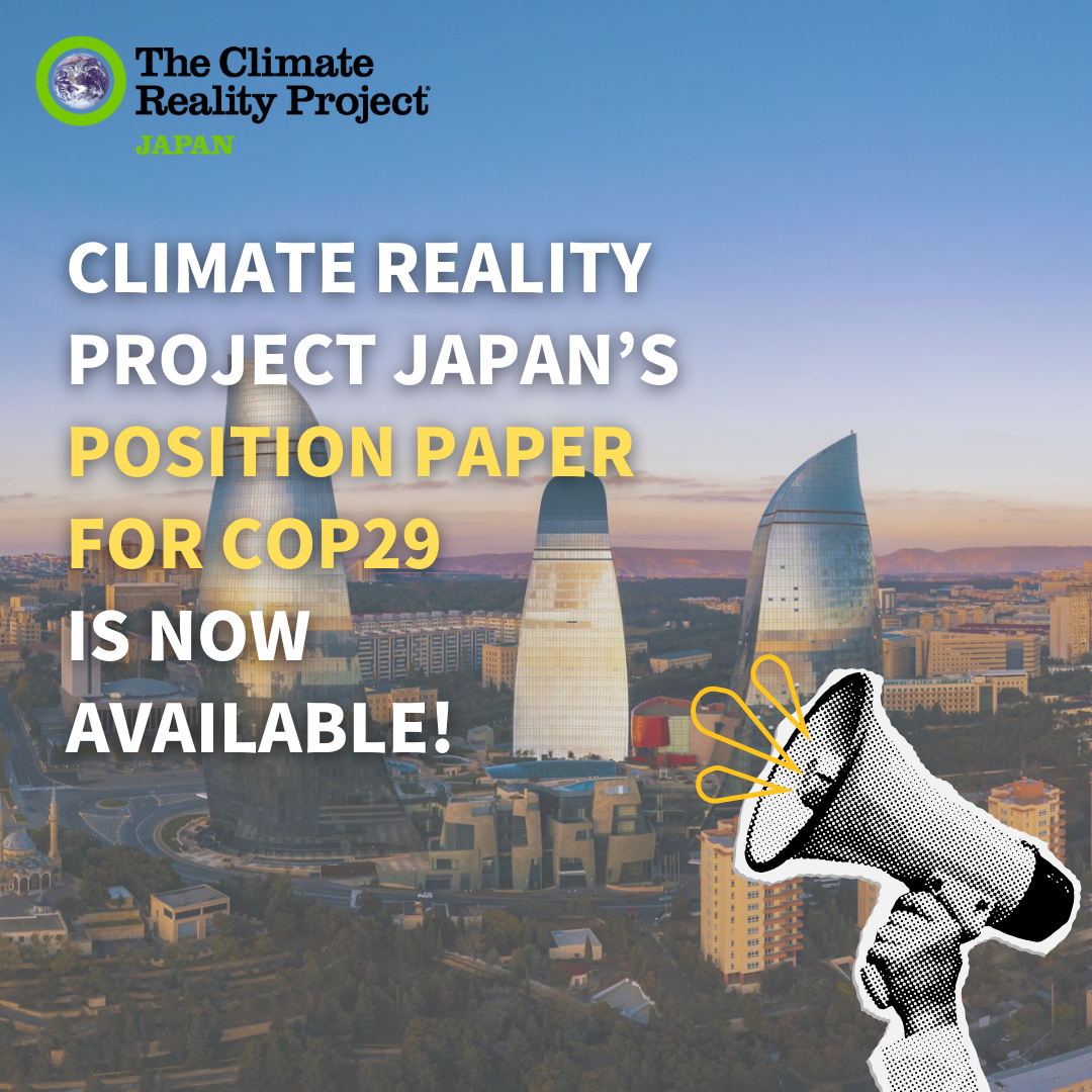 Our position paper for COP29 is available for download!