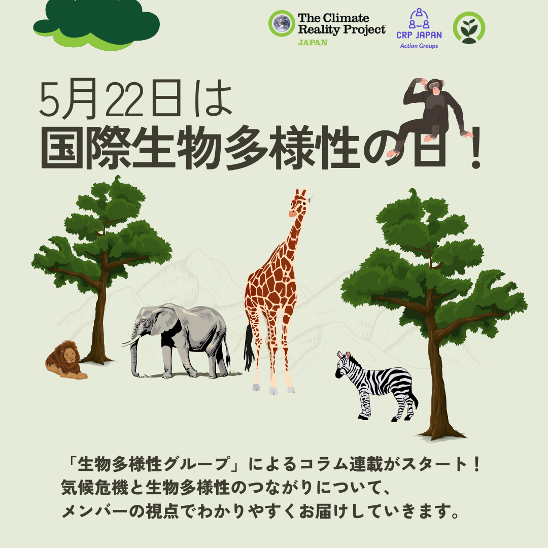 「生物多様性グループ」によるコラム連載がスタート！