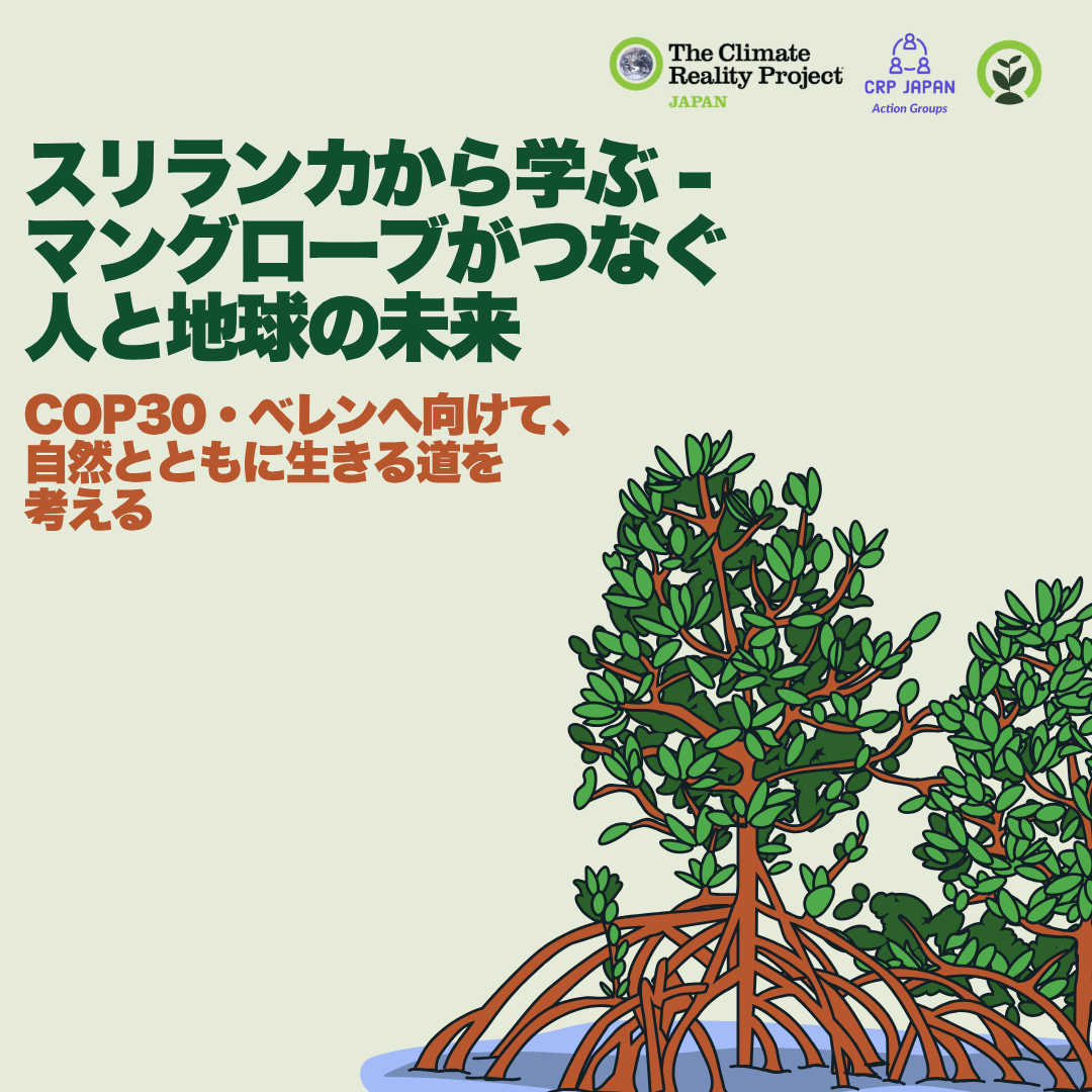 コラム：スリランカから学ぶ ― マングローブがつなぐ人と地球の未来【生物多様性グループ】