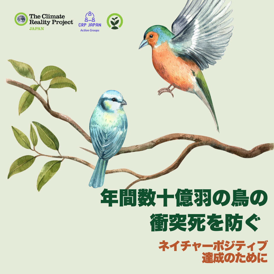 コラム：年間数十億羽の鳥の衝突死を防ぐ〜 ネイチャーポジティブ達成のために【生物多様性グループ】