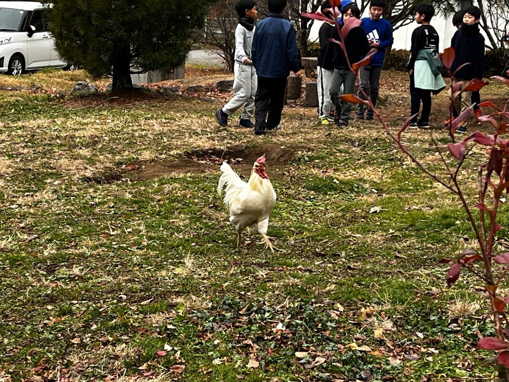 見送りに出てくれた子どもたちと学校で飼っている鶏さん